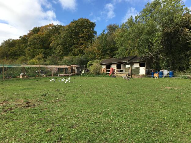 Land And Stables At Cranham - Lot 1